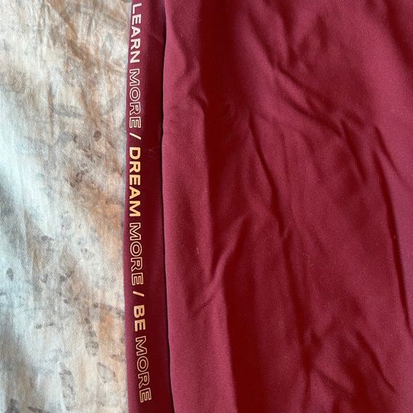 Burgundy Aphalette V2 premium joggers. Worn once, ready to clear out my closet! - Picture 2 of 7